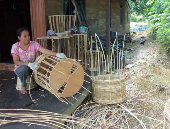 Usaha Rotan Seranau Go Green di Kotawaringin Timur