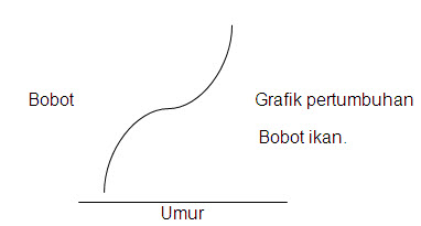 umur