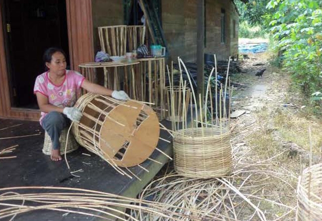  Usaha  Rotan  Seranau Go Green di Kotawaringin Timur Upacaya