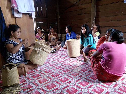 Membangun Usaha Masyarakat dan Perluasan Jaringan Pasar Berbasis Pemanfaatan Berkelanjutan Hasil Hutan Bukan Kayu (HHBK) di Kabupaten Berau, Provinsi Kalimantan Timur
